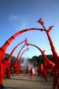 les girafes 049 * 2912 x 4368 * (5.52MB)
